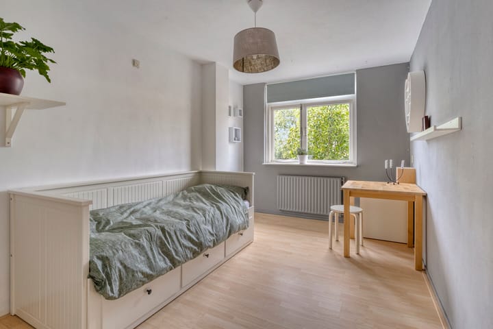 Foto 23 van Penningkruid 25