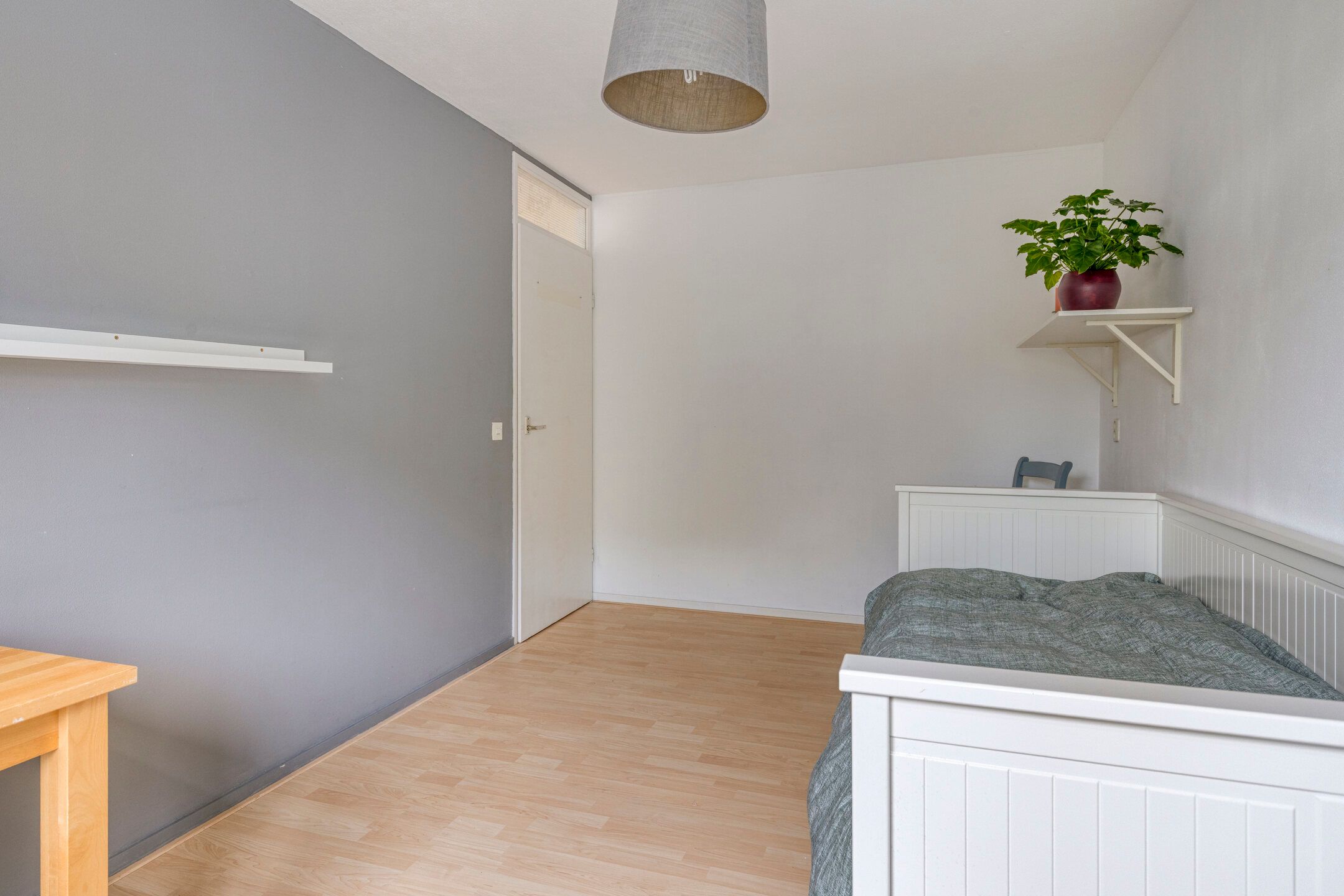 Foto 24 van Penningkruid 25