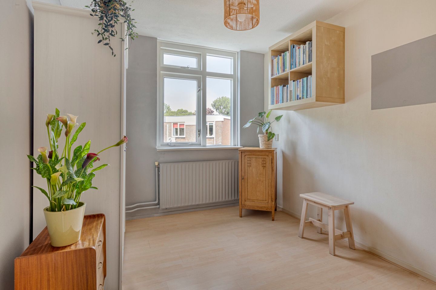 Foto 25 van Penningkruid 25