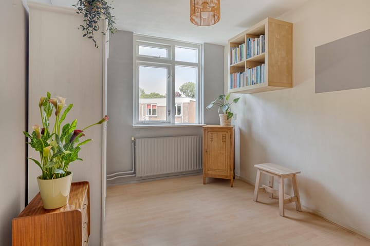 Foto 25 van Penningkruid 25