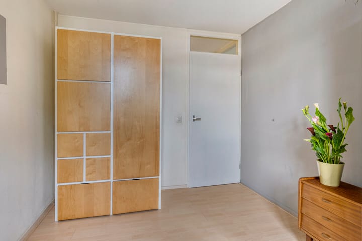 Foto 26 van Penningkruid 25