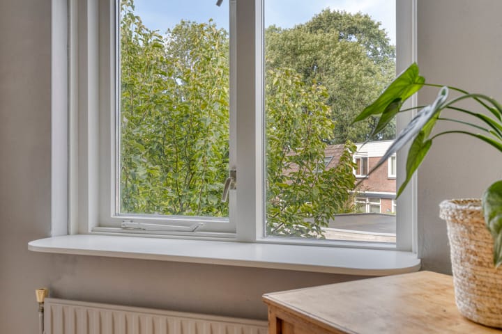 Foto 27 van Penningkruid 25