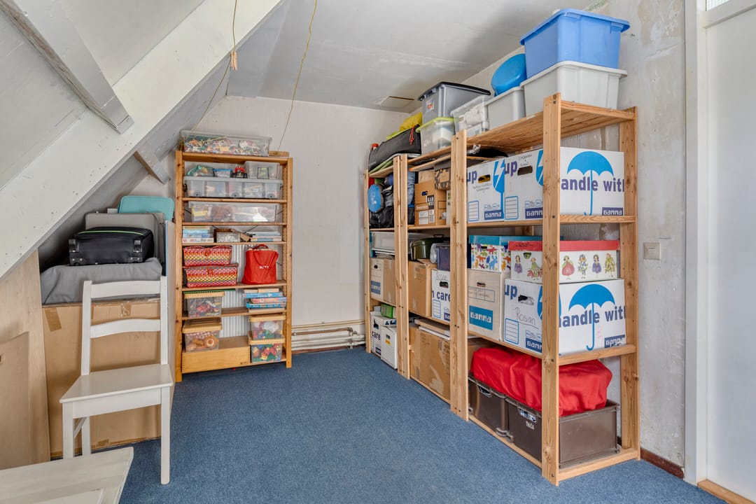 Foto 28 van Penningkruid 25