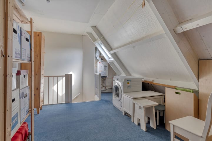 Foto 29 van Penningkruid 25