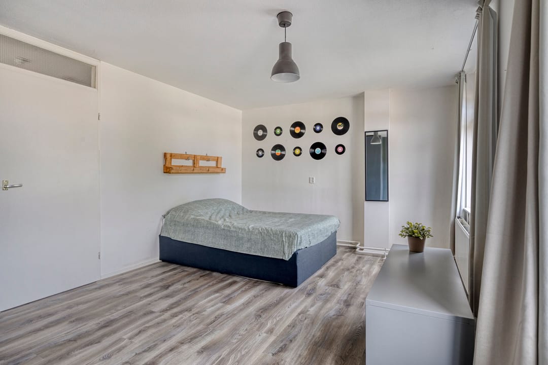 Foto 31 van Penningkruid 25