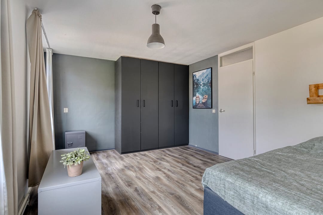 Foto 32 van Penningkruid 25