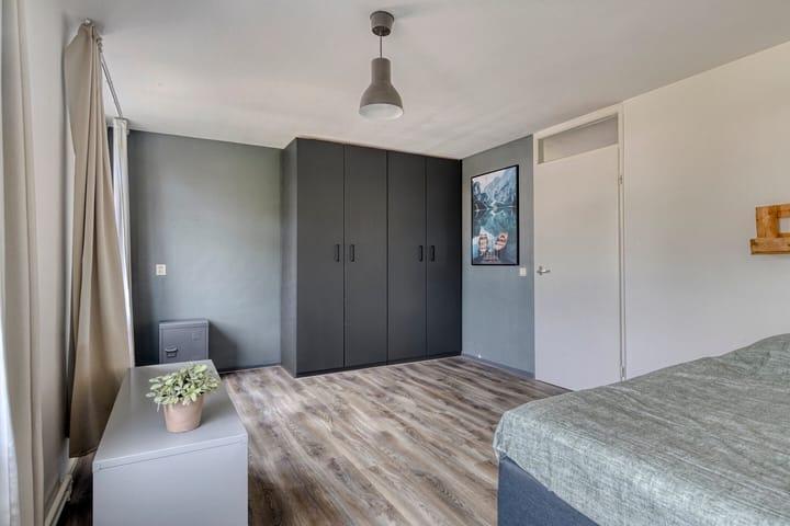 Foto 32 van Penningkruid 25