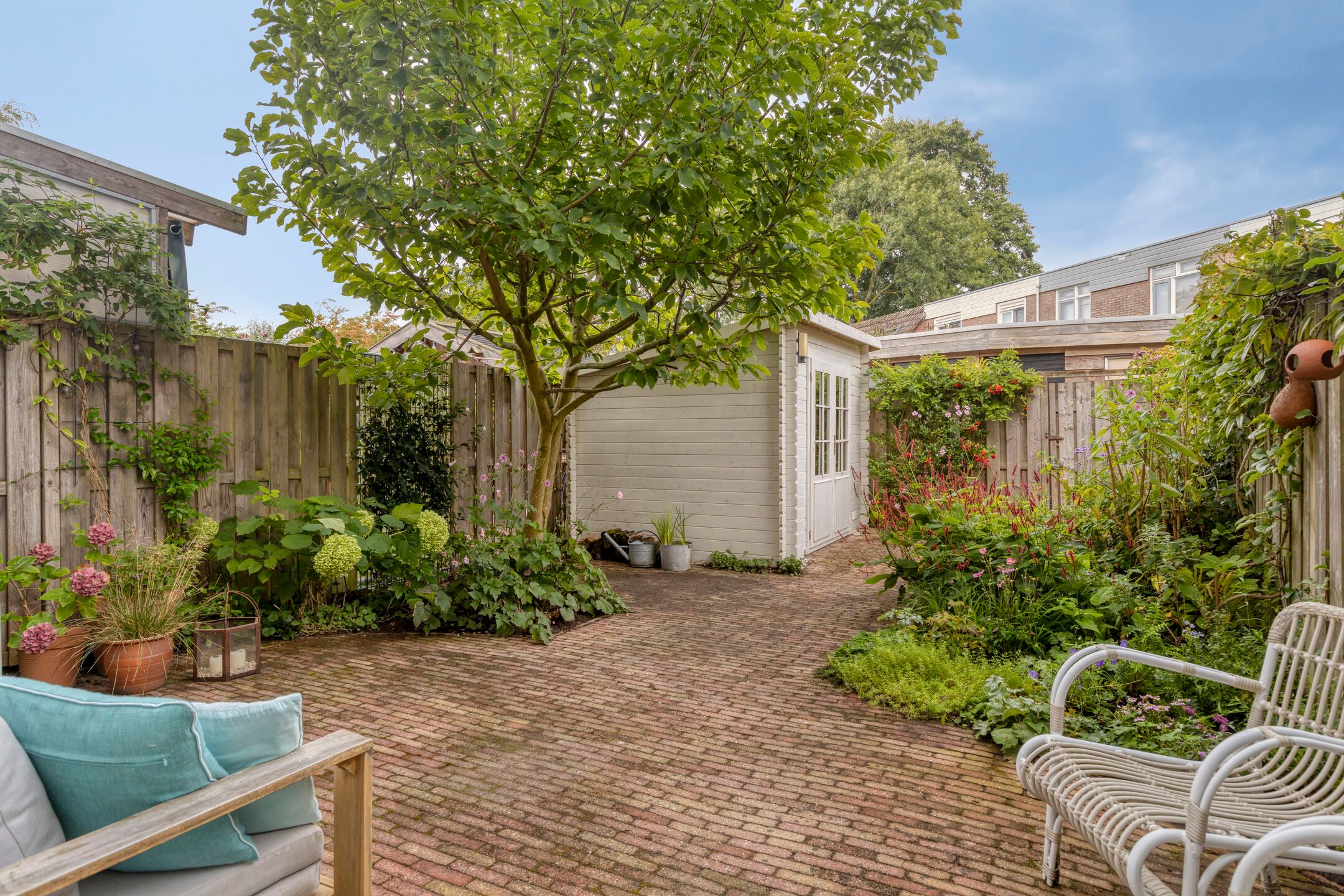 Foto 33 van Penningkruid 25