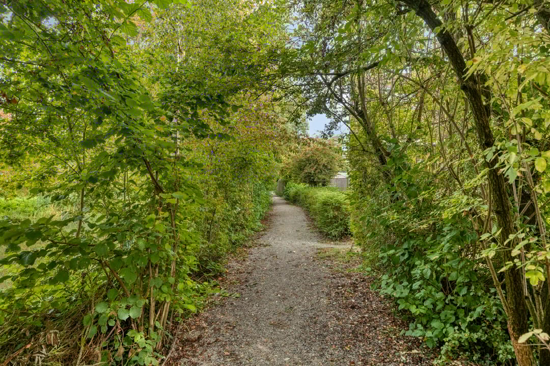 Foto 37 van Penningkruid 25