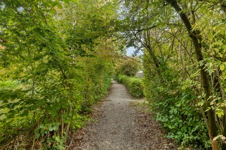 Foto 37 van Penningkruid 25