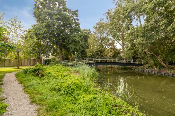 Foto 36 van Penningkruid 25