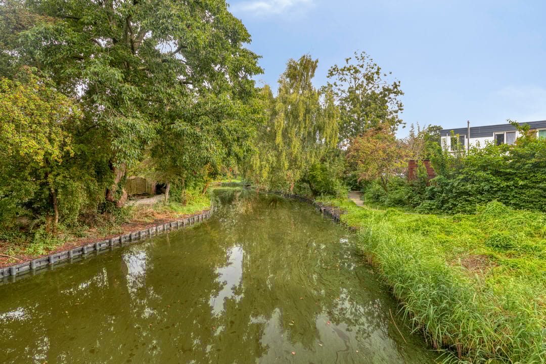 Foto 38 van Penningkruid 25