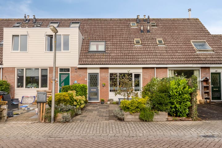 Penningkruid 25 main image