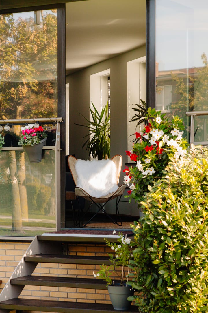 Foto 24 van Funenpark 512