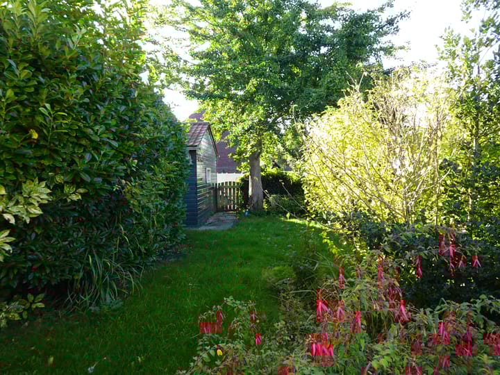 Foto 5 van Schoolpad 21