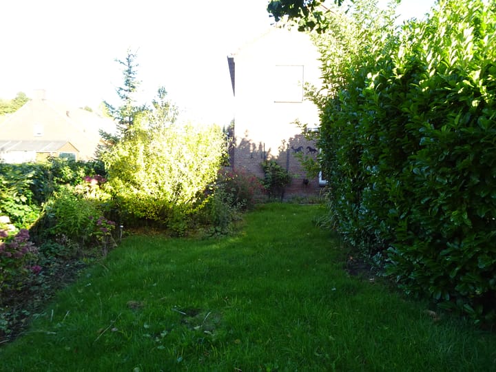 Foto 21 van Schoolpad 21