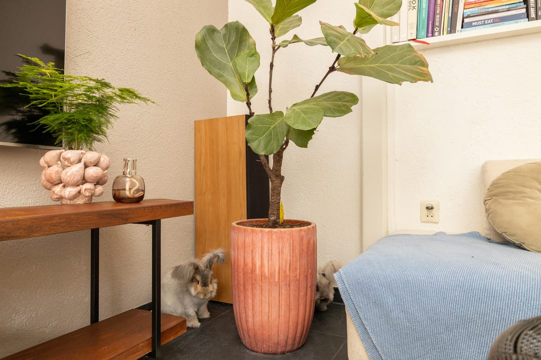 Foto 17 van Breekade 7