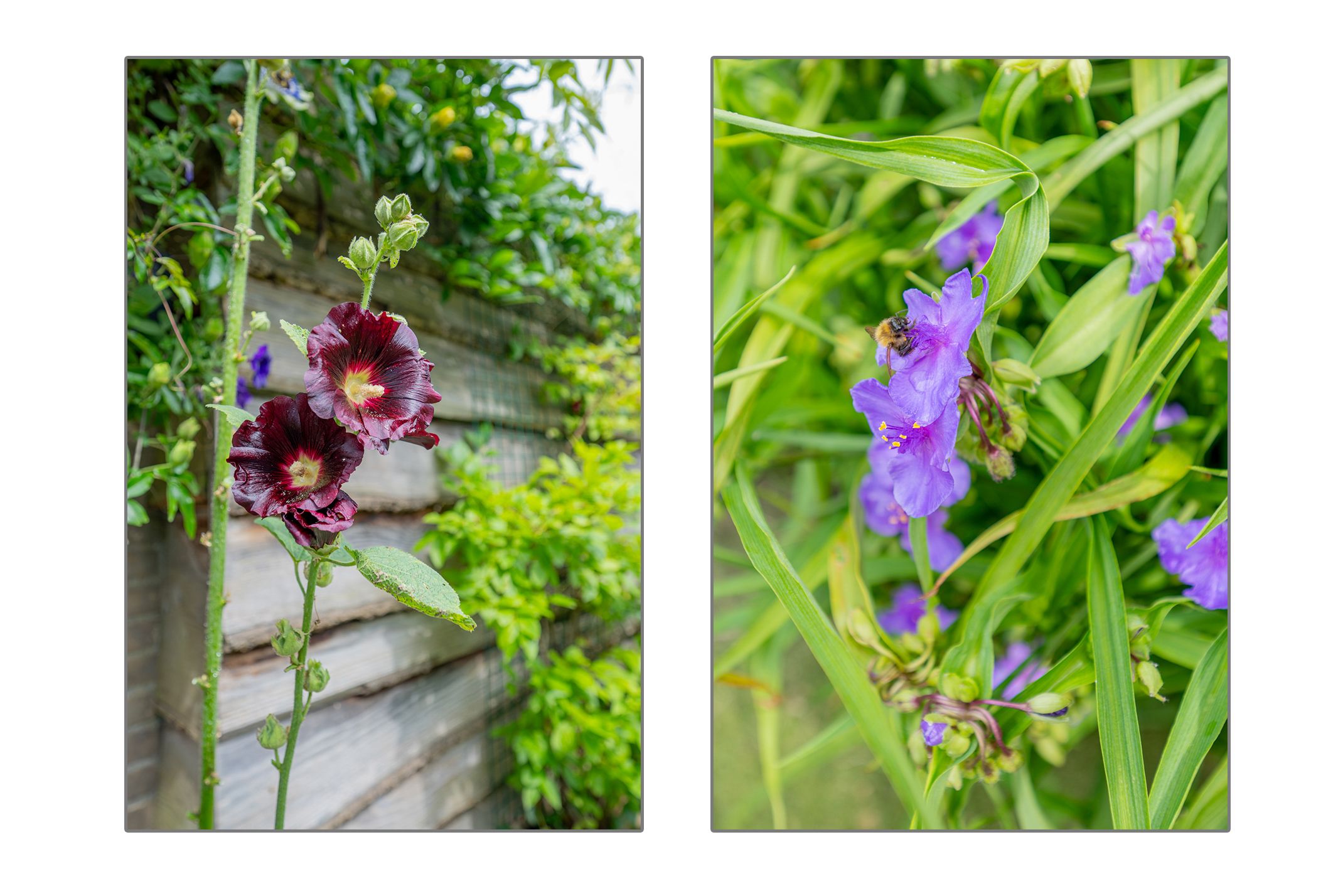 Foto 27 van Timmermanlaan 20