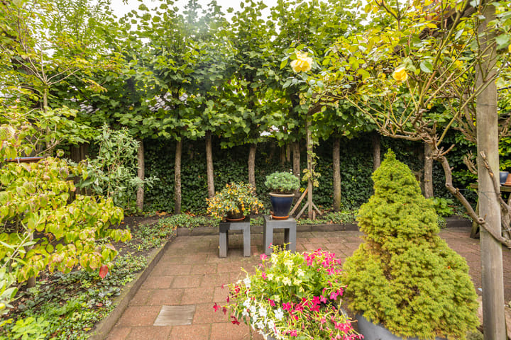 Foto 32 van Van Alphenstraat 7