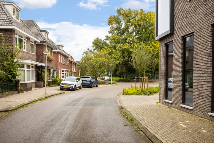 Foto 39 van Van Alphenstraat 7