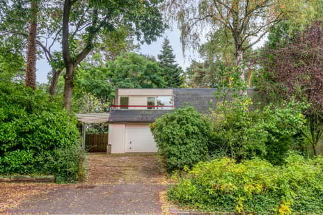 undefined main image