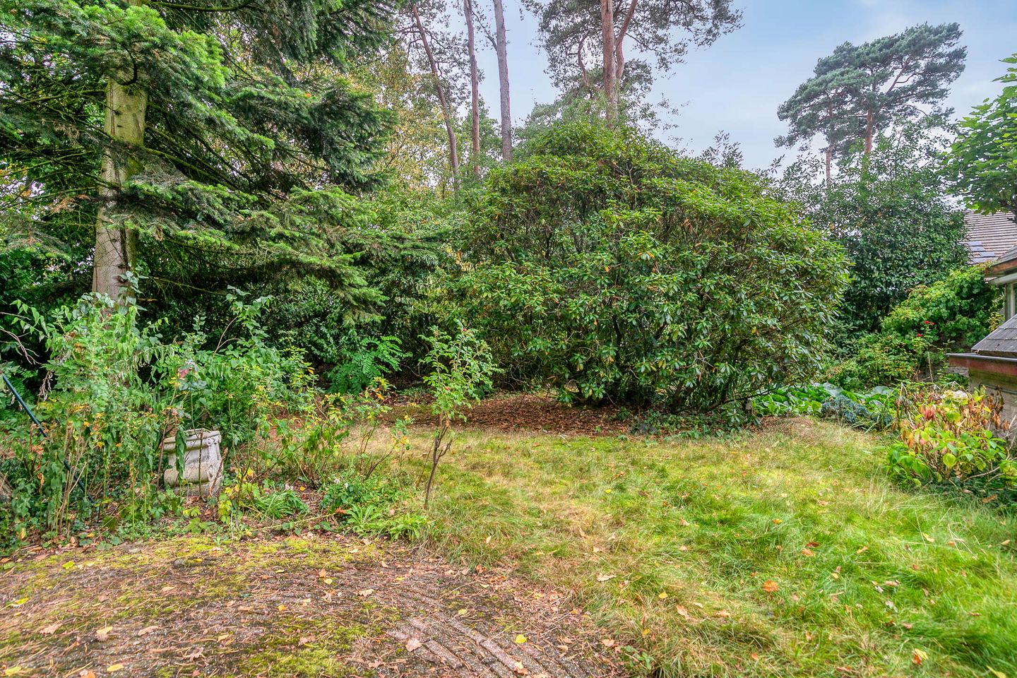 Foto 40 van Vliegtuiglaan 54