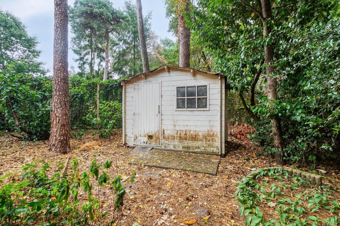 Foto 44 van Vliegtuiglaan 54