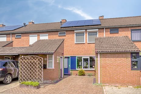 undefined main image