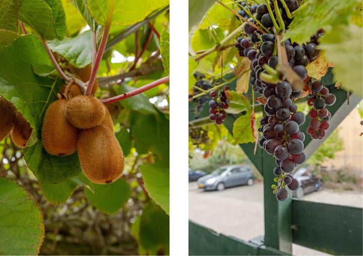 Photo 12 of Houdringeweg 182