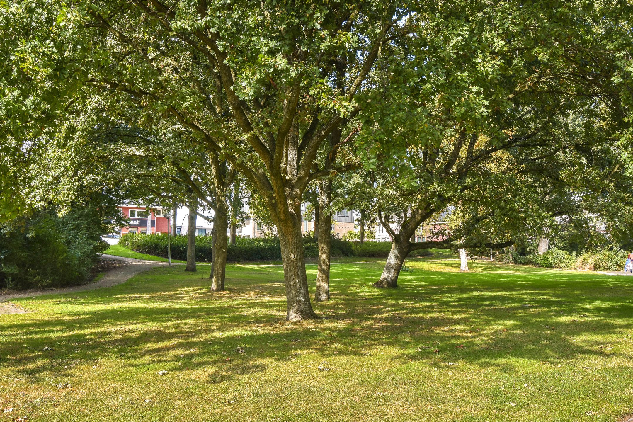 Photo 15 of Populierenlaan 519