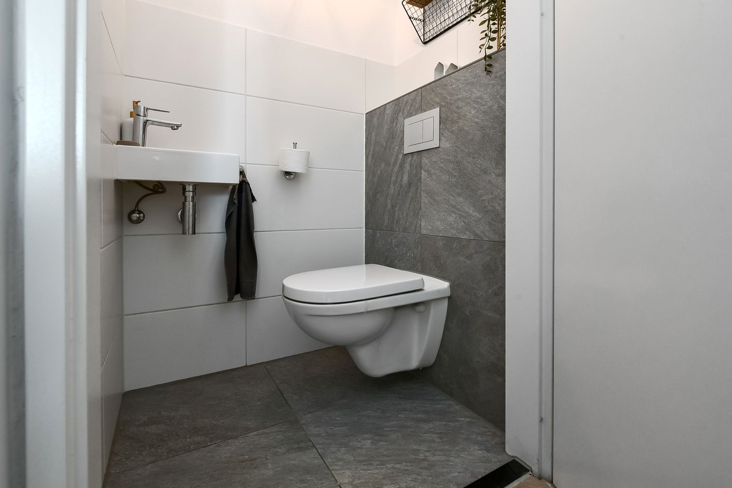 Foto 14 van Dierenriem 50