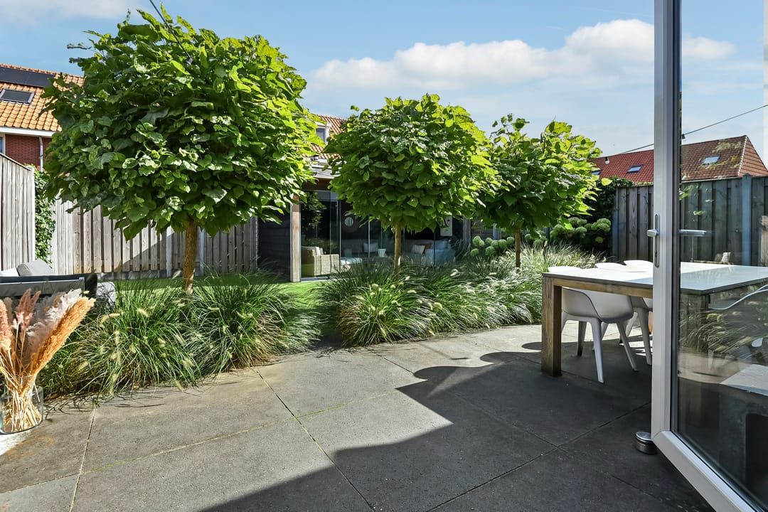 Foto 31 van Dierenriem 50