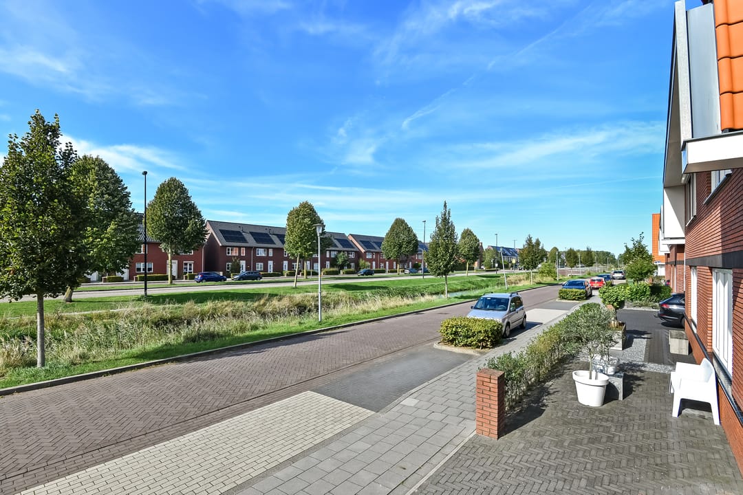 Foto 38 van Dierenriem 50