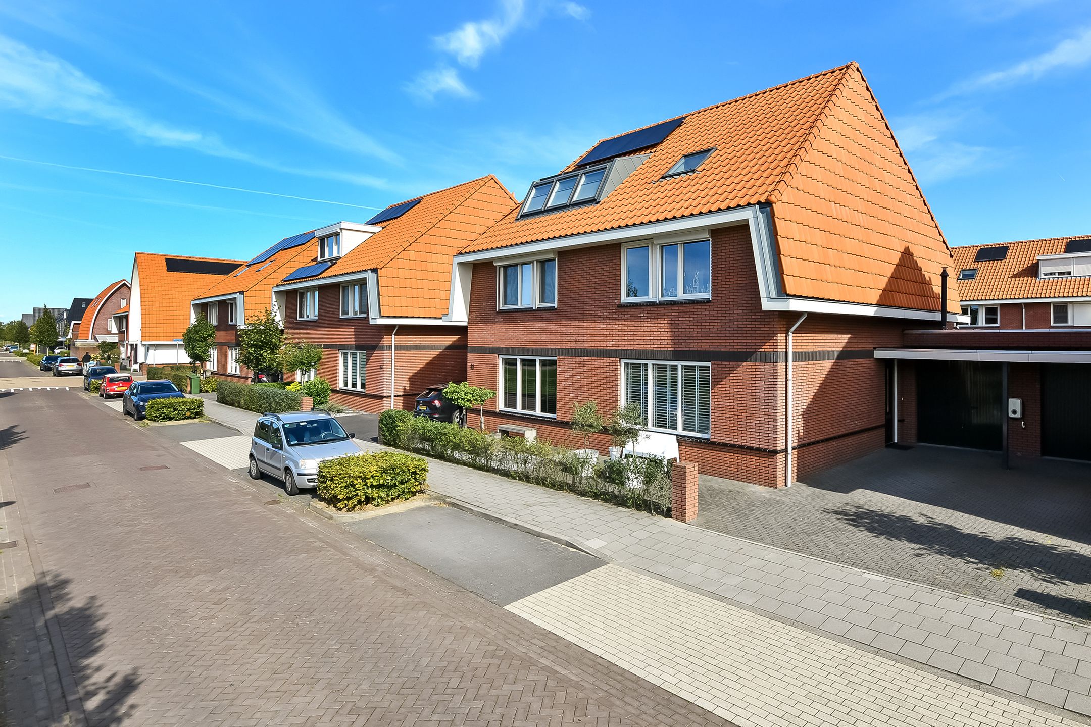 Foto 39 van Dierenriem 50