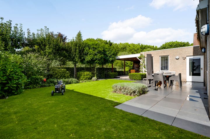 Foto 2 van Stellingmolen 8