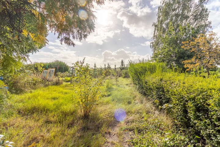 Photo 8 of Molenstraat 111