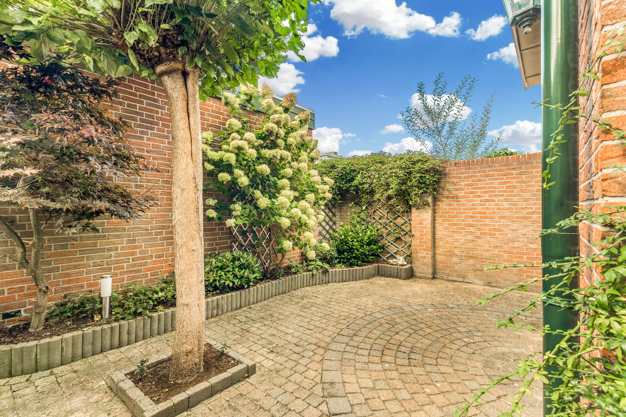 Foto 36 van Koningin Wilhelminastraat 30