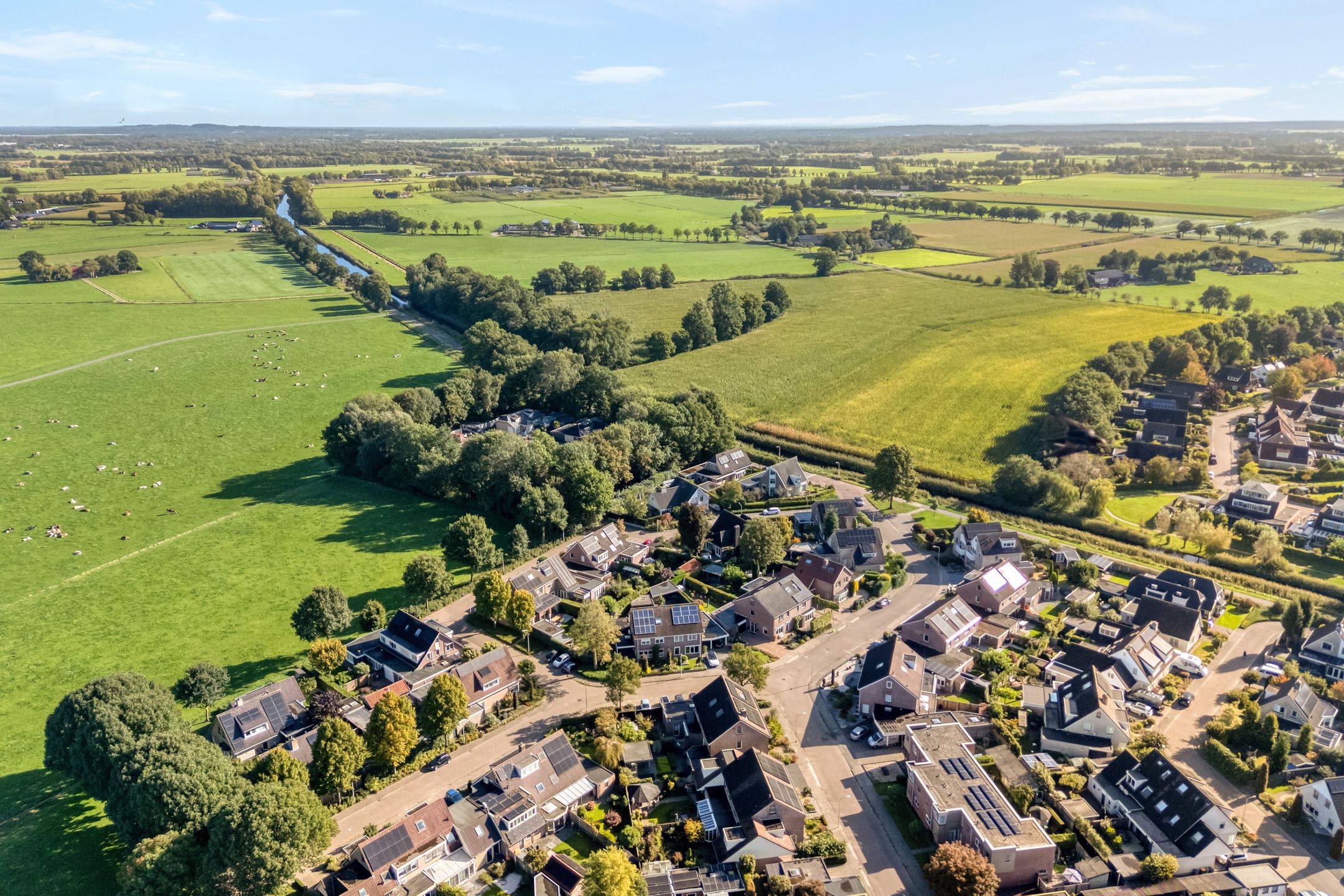 Foto 3 van Velduil 22