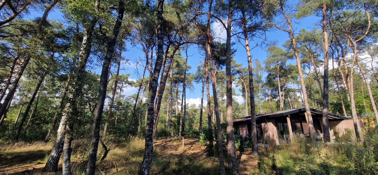 Photo 18 of Hogeveldsweg 26-280