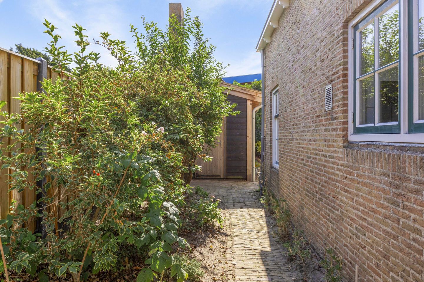 Foto 40 van de Bellink 12