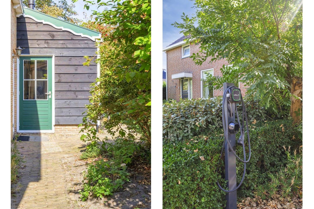 Foto 41 van de Bellink 12