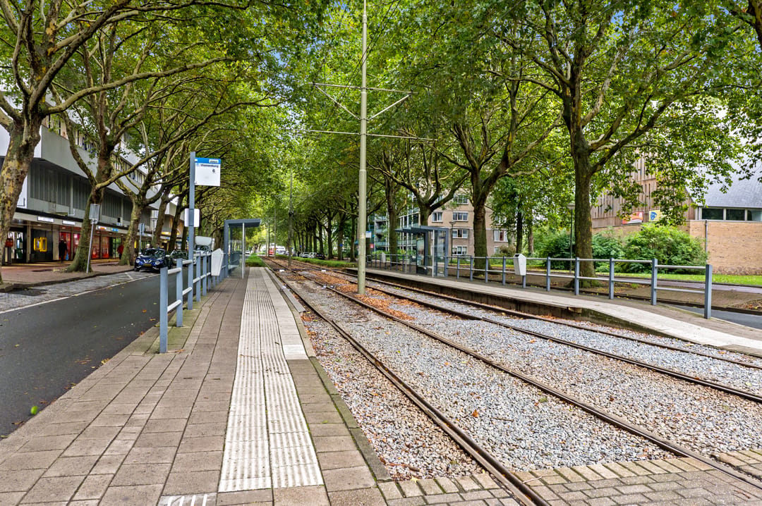Photo 31 of Parelmoerhorst 75