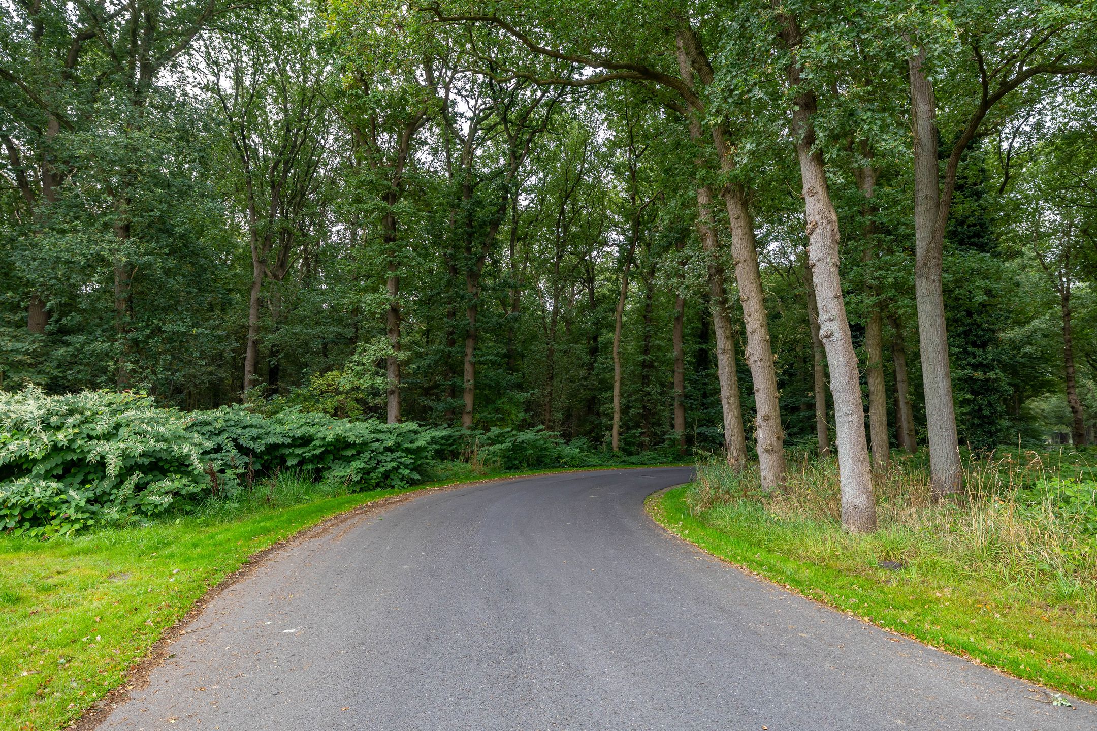 Photo 54 of Hoofdweg 30