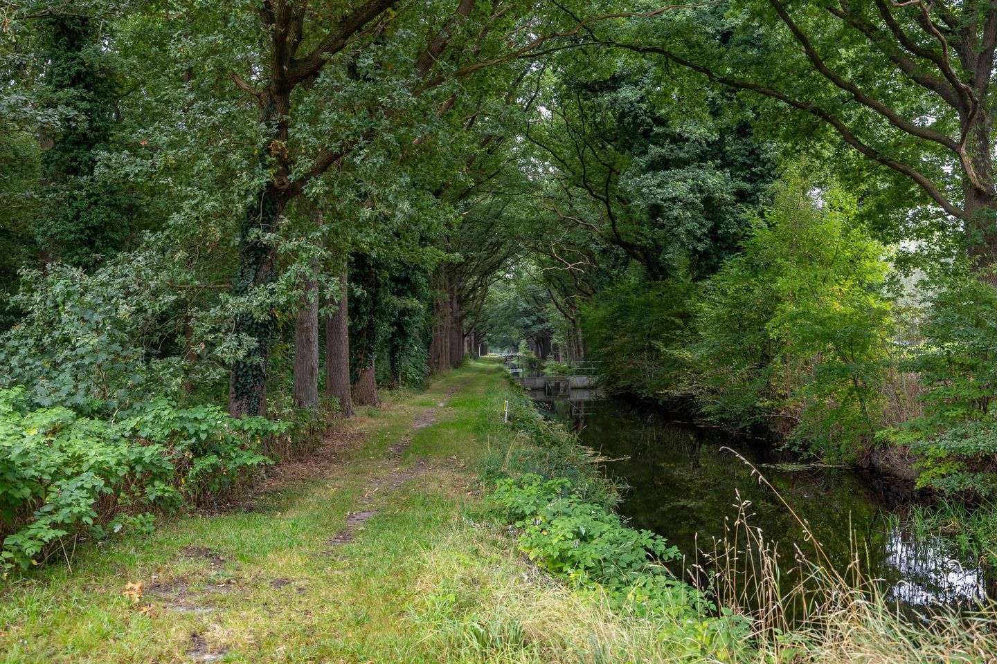 Photo 55 of Hoofdweg 30