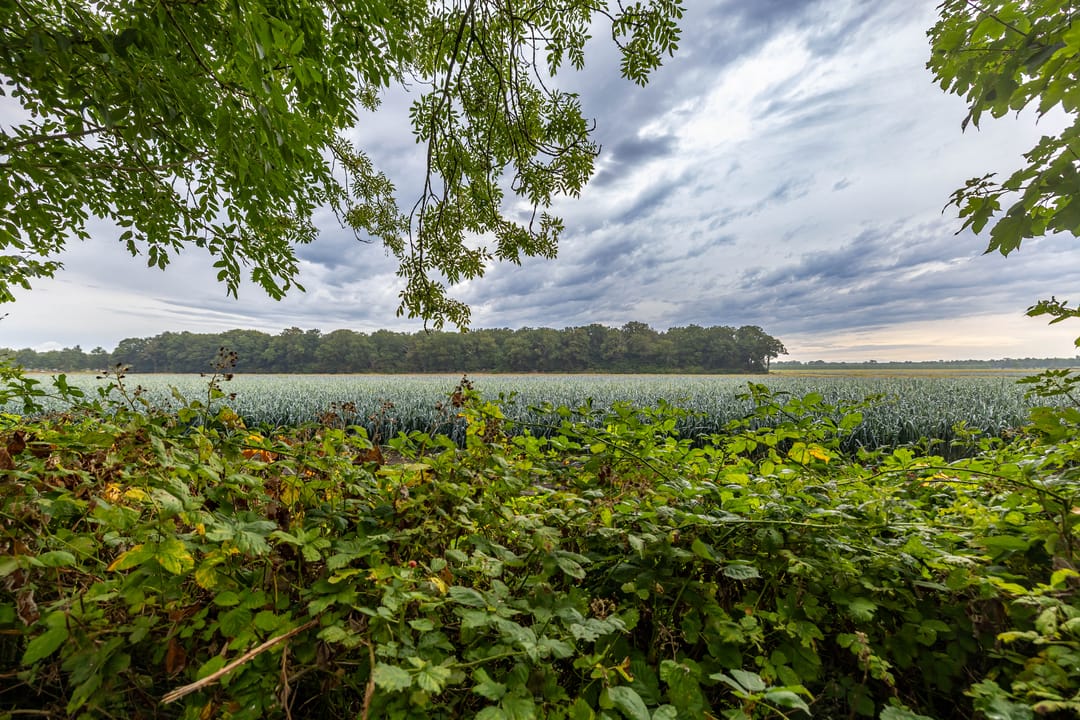 Photo 56 of Hoofdweg 30