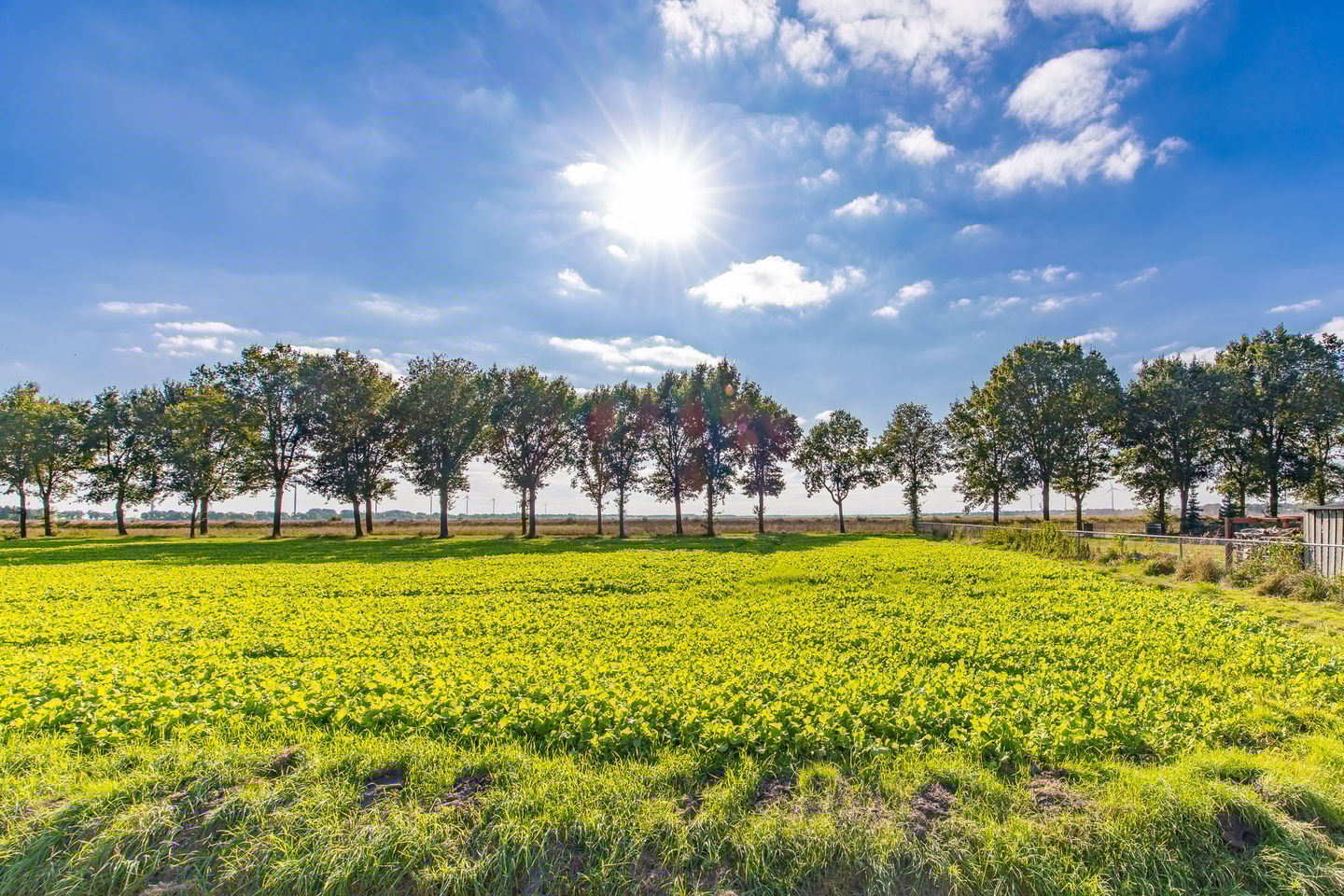 Foto 44 van Sluiskade 63