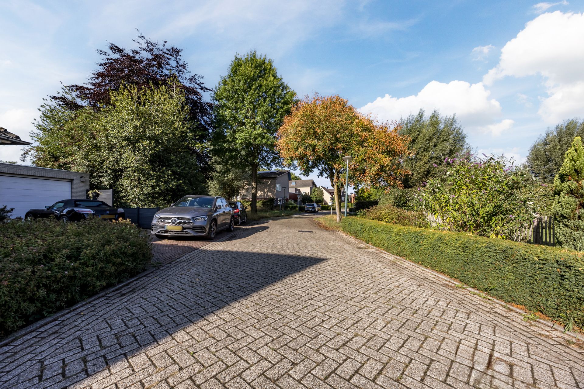 Foto 42 van Violier 17