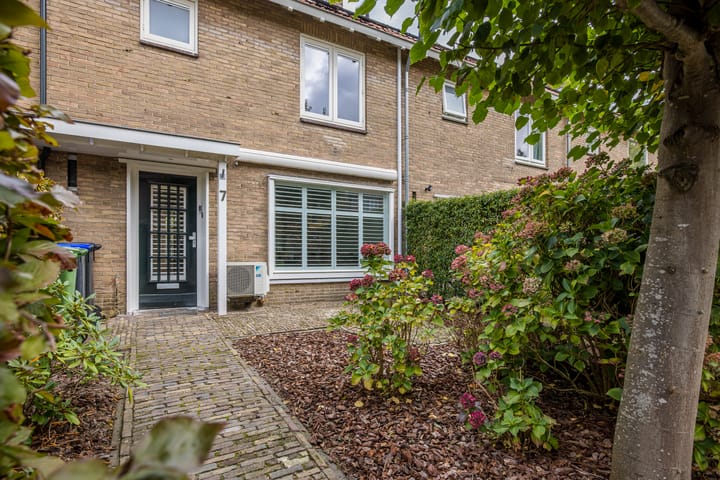 Foto 6 van Pieter de Hooghlaan 7