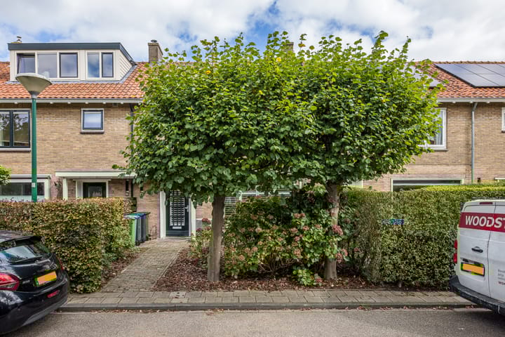 Foto 32 van Pieter de Hooghlaan 7