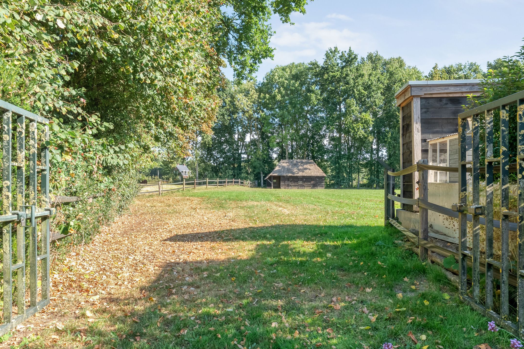 Foto 6 van 't Sumpel 52